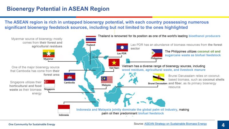 ASEAN諸国におけるバイオエネルギーの可能性
