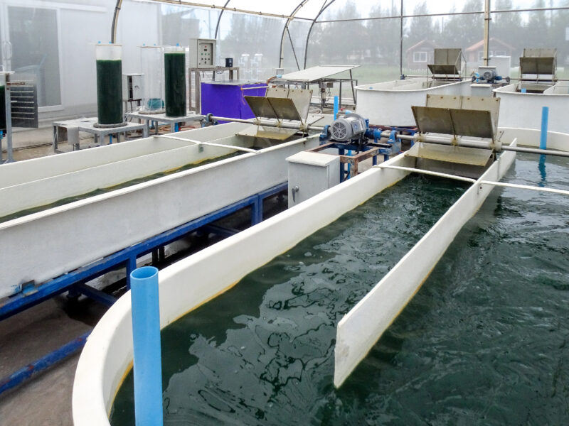 KMUTTの藻類資源化の研究施設