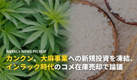 カンクン、大麻事業への新規投資を凍結、インラック時代のコメ在庫売却で論議