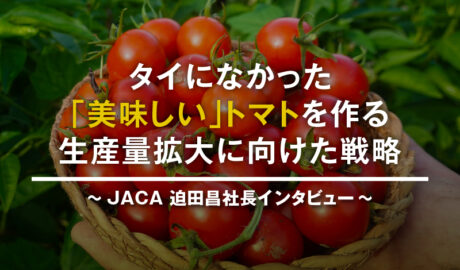 タイになかった「美味しい」トマトを作る 〜JACA 迫田昌社長インタビュー