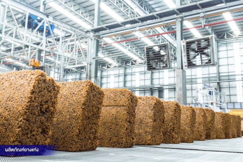 Thai Eastern Group Holdingsのゴムブロック