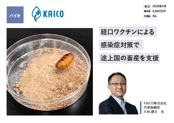 KAICO